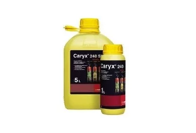 caryx-240-sl