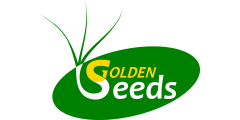 Golden Seeds